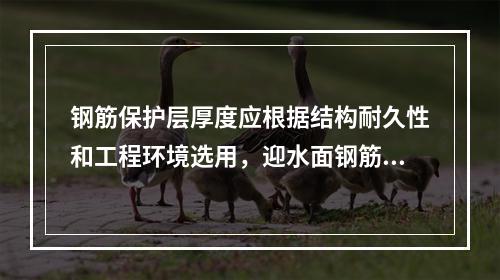 钢筋保护层厚度应根据结构耐久性和工程环境选用，迎水面钢筋保护