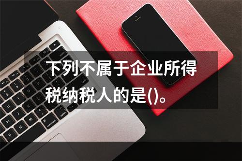 下列不属于企业所得税纳税人的是()。