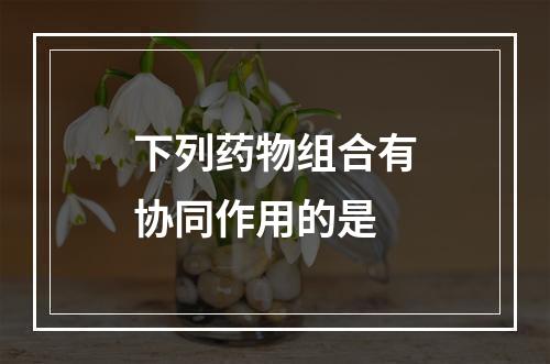 下列药物组合有协同作用的是