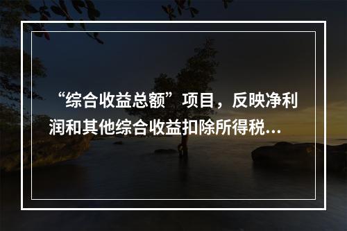 “综合收益总额”项目，反映净利润和其他综合收益扣除所得税影响