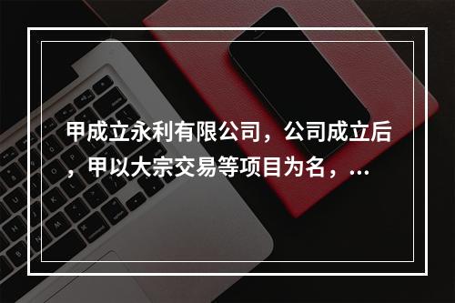 甲成立永利有限公司，公司成立后，甲以大宗交易等项目为名，并以