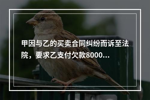 甲因与乙的买卖合同纠纷而诉至法院，要求乙支付欠款8000元。