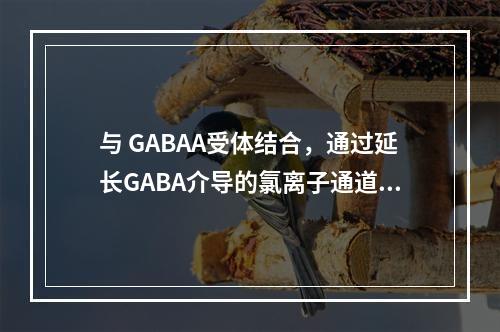 与 GABAA受体结合，通过延长GABA介导的氯离子通道开放