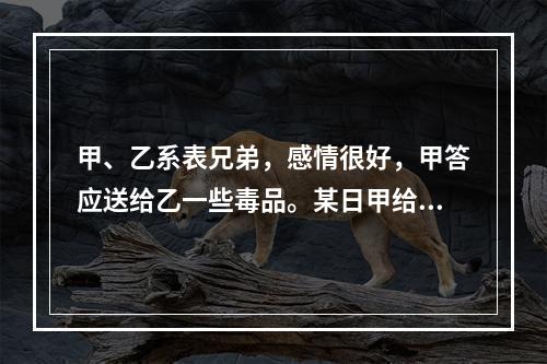 甲、乙系表兄弟，感情很好，甲答应送给乙一些毒品。某日甲给另一