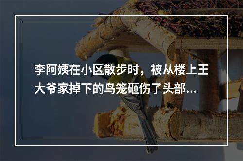 李阿姨在小区散步时，被从楼上王大爷家掉下的鸟笼砸伤了头部。李