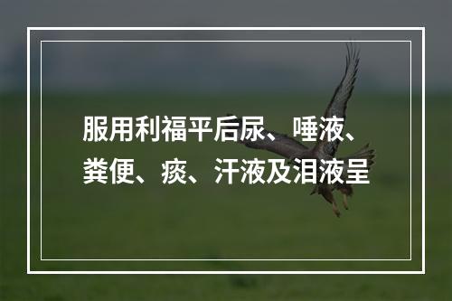 服用利福平后尿、唾液、粪便、痰、汗液及泪液呈