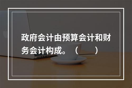 政府会计由预算会计和财务会计构成。（　　）