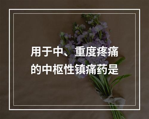 用于中、重度疼痛的中枢性镇痛药是