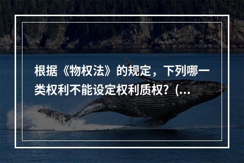 根据《物权法》的规定，下列哪一类权利不能设定权利质权？()