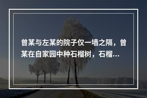 曾某与左某的院子仅一墙之隔，曾某在自家园中种石榴树，石榴树枝