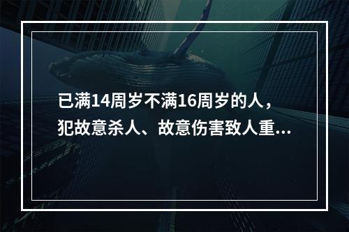 已满14周岁不满16周岁的人，犯故意杀人、故意伤害致人重伤或