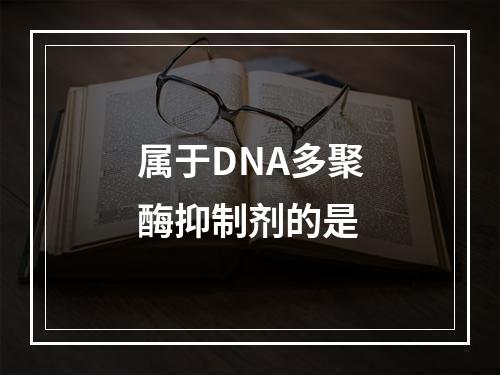 属于DNA多聚酶抑制剂的是