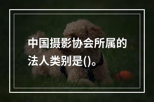 中国摄影协会所属的法人类别是()。