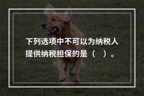 下列选项中不可以为纳税人提供纳税担保的是（　）。