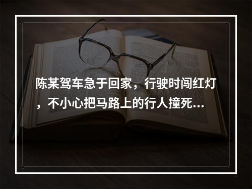 陈某驾车急于回家，行驶时闯红灯，不小心把马路上的行人撞死，陈