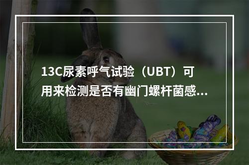 13C尿素呼气试验（UBT）可用来检测是否有幽门螺杆菌感染，