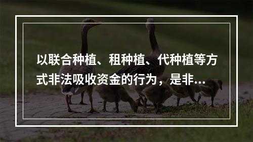 以联合种植、租种植、代种植等方式非法吸收资金的行为，是非法吸