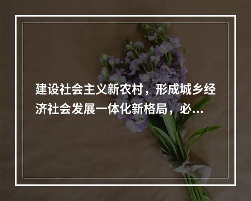 建设社会主义新农村，形成城乡经济社会发展一体化新格局，必须扩