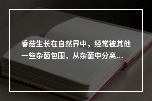 香菇生长在自然界中，经常被其他一些杂菌包围，从杂菌中分离出香