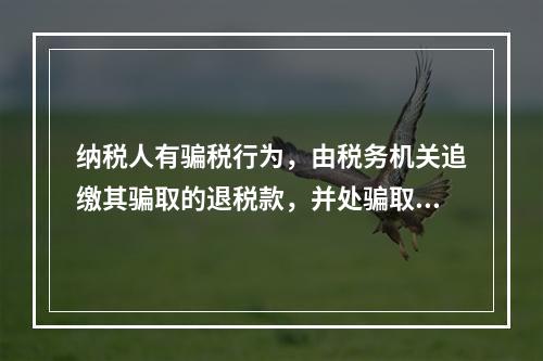 纳税人有骗税行为，由税务机关追缴其骗取的退税款，并处骗取税款