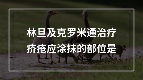 林旦及克罗米通治疗疥疮应涂抹的部位是