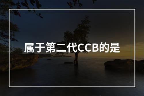 属于第二代CCB的是