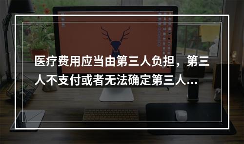 医疗费用应当由第三人负担，第三人不支付或者无法确定第三人的，