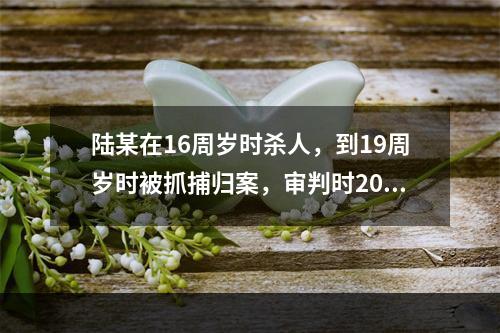 陆某在16周岁时杀人，到19周岁时被抓捕归案，审判时20周岁