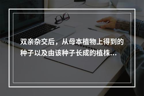 双亲杂交后，从母本植物上得到的种子以及由该种子长成的植株称杂