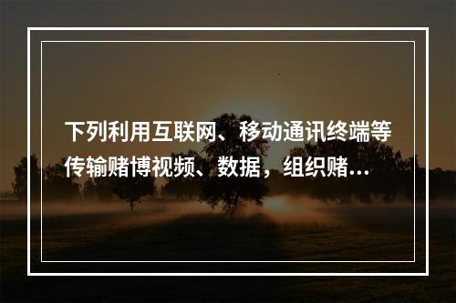 下列利用互联网、移动通讯终端等传输赌博视频、数据，组织赌博活