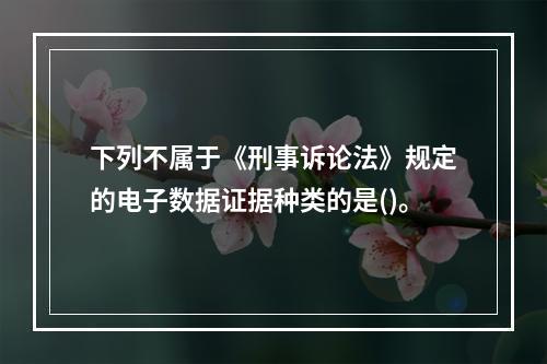 下列不属于《刑事诉论法》规定的电子数据证据种类的是()。