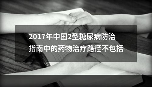 2017年中国2型糖尿病防治指南中的药物治疗路径不包括