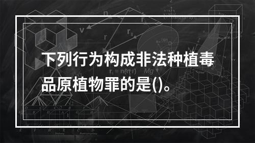 下列行为构成非法种植毒品原植物罪的是()。