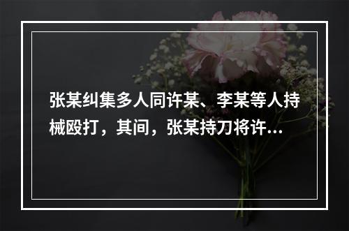 张某纠集多人同许某、李某等人持械殴打，其间，张某持刀将许某扎