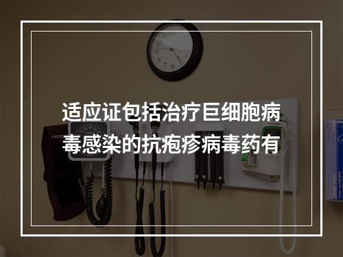 适应证包括治疗巨细胞病毒感染的抗疱疹病毒药有