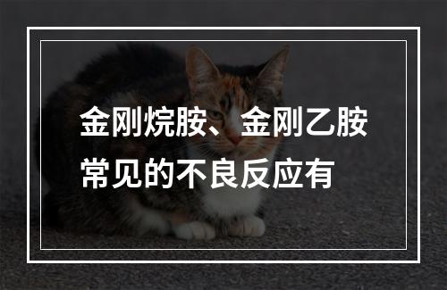 金刚烷胺、金刚乙胺常见的不良反应有