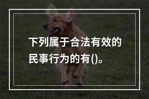 下列属于合法有效的民事行为的有()。