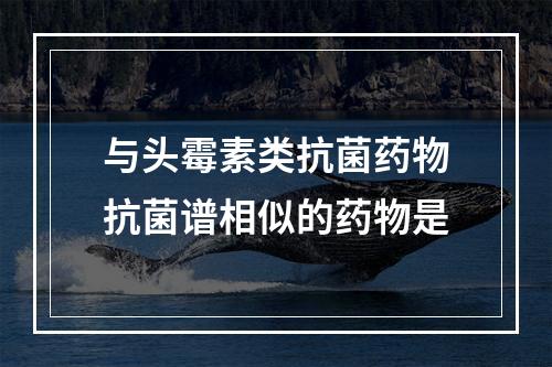 与头霉素类抗菌药物抗菌谱相似的药物是