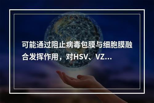 可能通过阻止病毒包膜与细胞膜融合发挥作用，对HSV、VZV、