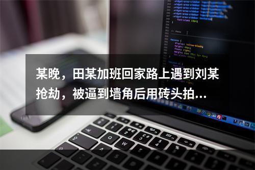 某晚，田某加班回家路上遇到刘某抢劫，被逼到墙角后用砖头拍在刘