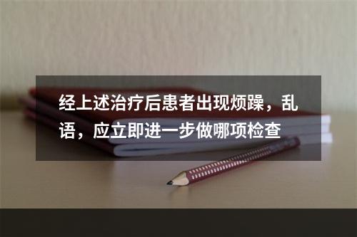 经上述治疗后患者出现烦躁，乱语，应立即进一步做哪项检查