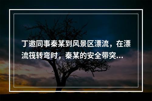 丁邀同事秦某到风景区漂流，在漂流筏转弯时，秦某的安全带突然松