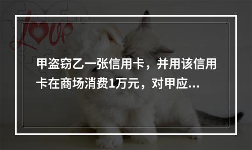 甲盗窃乙一张信用卡，并用该信用卡在商场消费1万元，对甲应按信