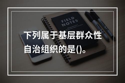 下列属于基层群众性自治组织的是()。