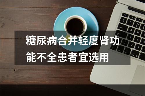 糖尿病合并轻度肾功能不全患者宜选用