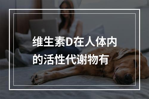 维生素D在人体内的活性代谢物有