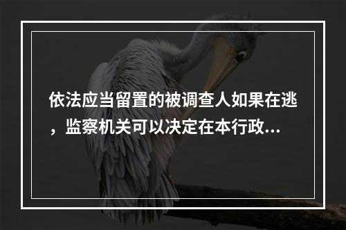 依法应当留置的被调查人如果在逃，监察机关可以决定在本行政区域