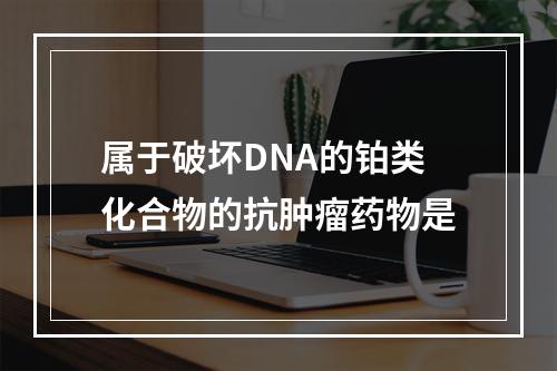 属于破坏DNA的铂类化合物的抗肿瘤药物是