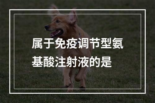 属于免疫调节型氨基酸注射液的是