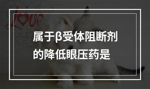 属于β受体阻断剂的降低眼压药是